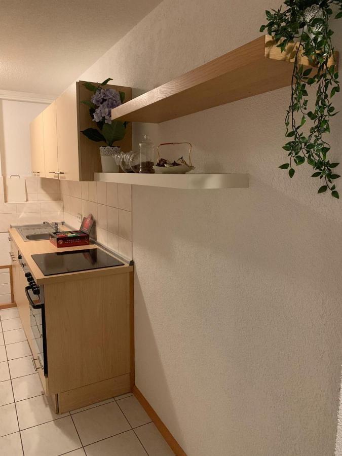 Holiday Home Nahe Europapark Lahr  Esterno foto